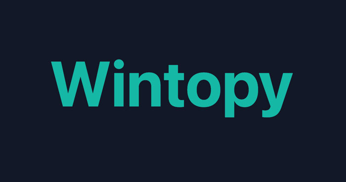 Wintopy - AI & Web agency